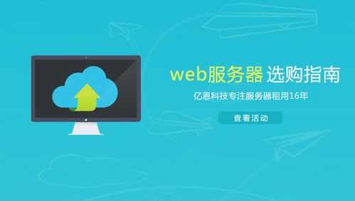 独立web网站服务器（网站独立服务器多少钱）