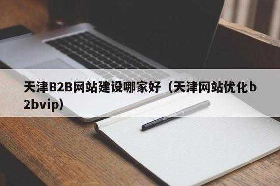 天津网络优化公司（天津网站优化b2bvip）